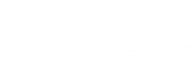 Flitedeck Logo 2
